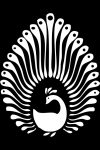 Peacock Logo inverted_small